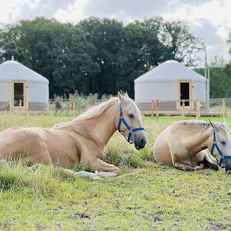 Magnolia Hoeve - Unieke Bestemming Voor Paardenliefhebbers En Bijzondere Overnachtingen In De Natuur Ledeacker Exterior photo