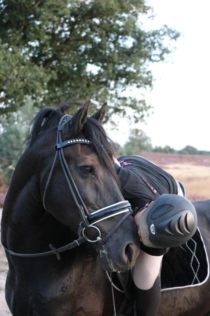 Magnolia Hoeve - Unieke Bestemming Voor Paardenliefhebbers En Bijzondere Overnachtingen In De Natuur Ledeacker Exterior photo