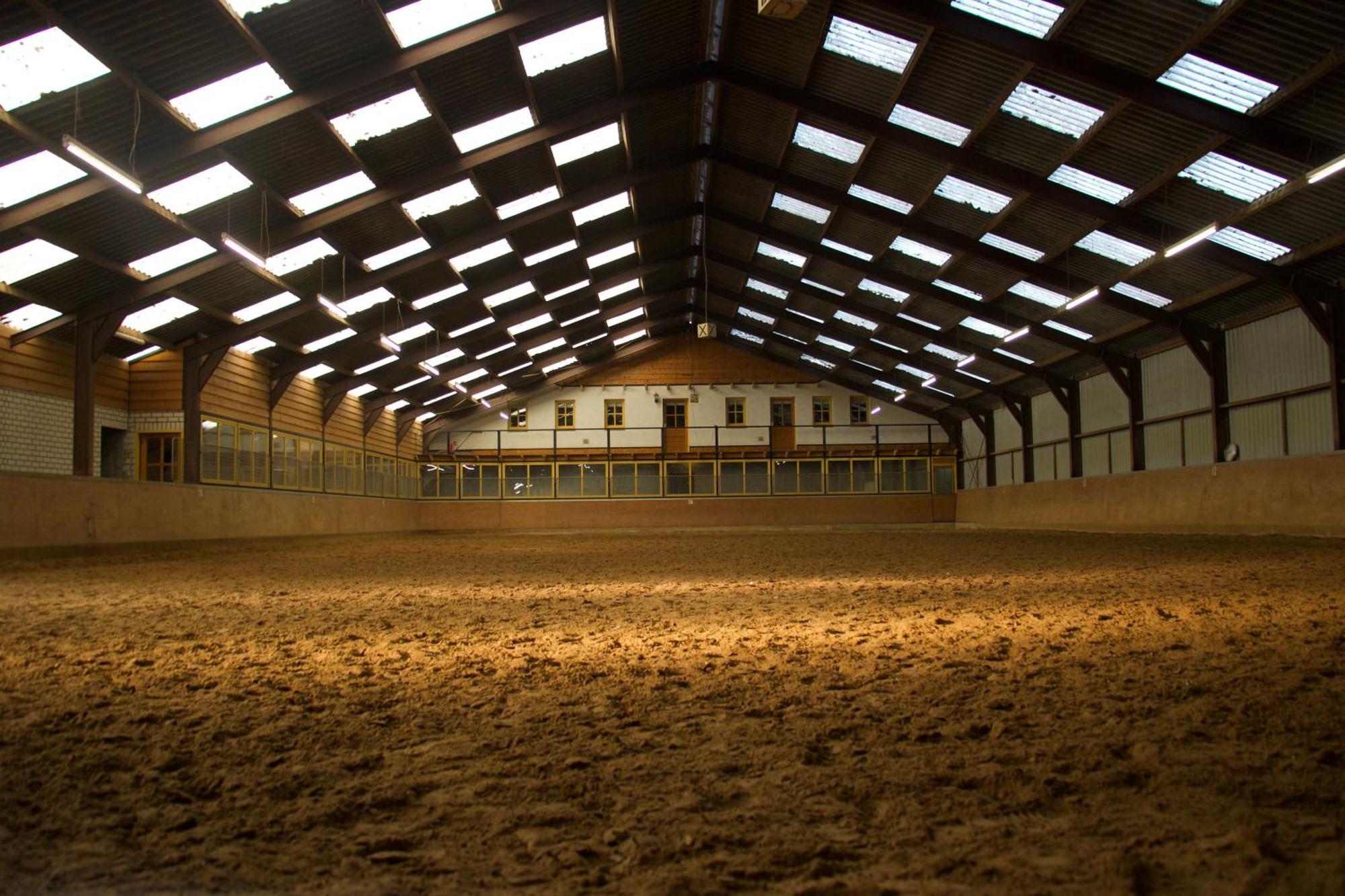 Magnolia Hoeve - Unieke Bestemming Voor Paardenliefhebbers En Bijzondere Overnachtingen In De Natuur Ledeacker Exterior photo