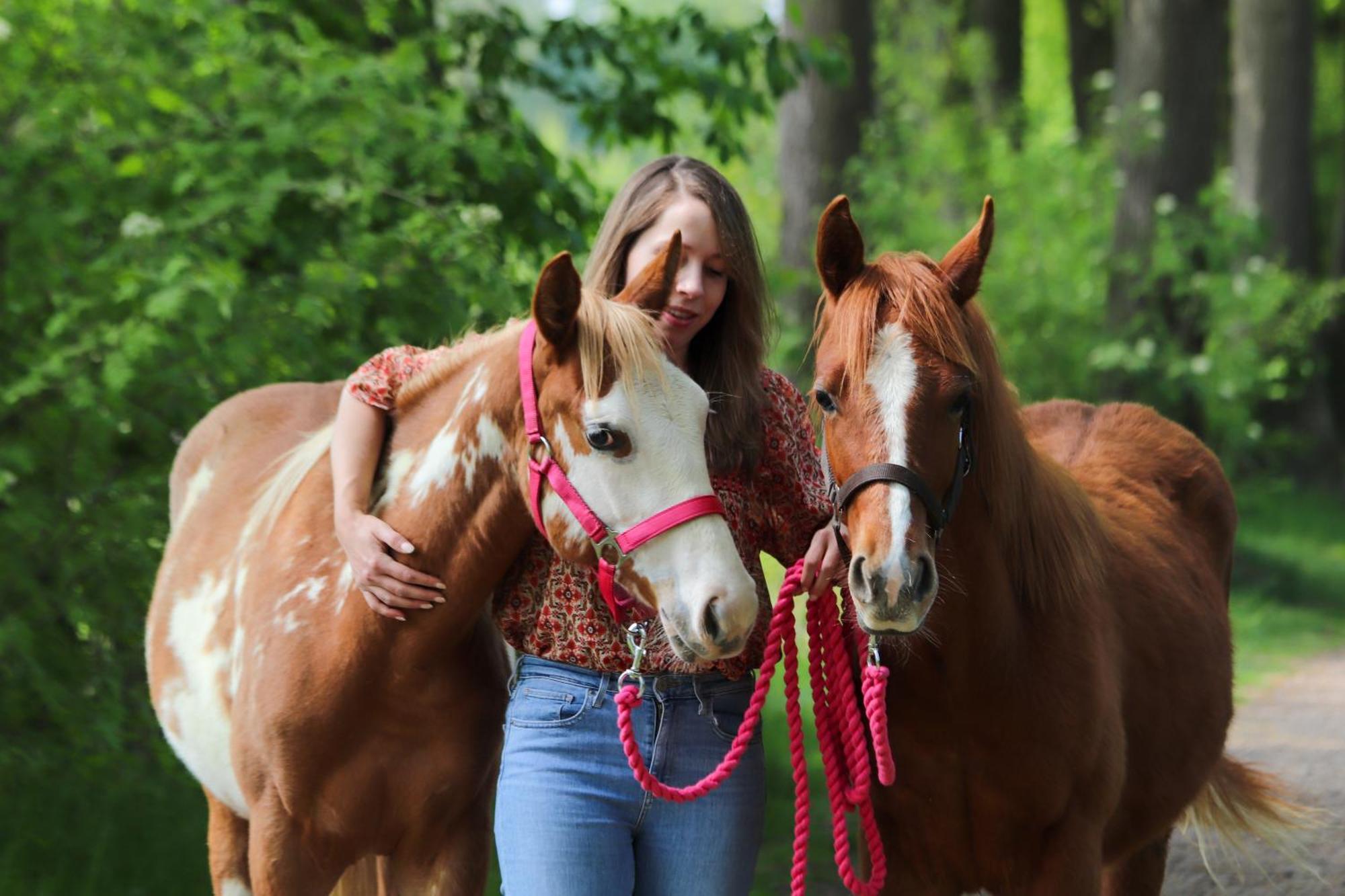 Magnolia Hoeve - Unieke Bestemming Voor Paardenliefhebbers En Bijzondere Overnachtingen In De Natuur Ledeacker Exterior photo