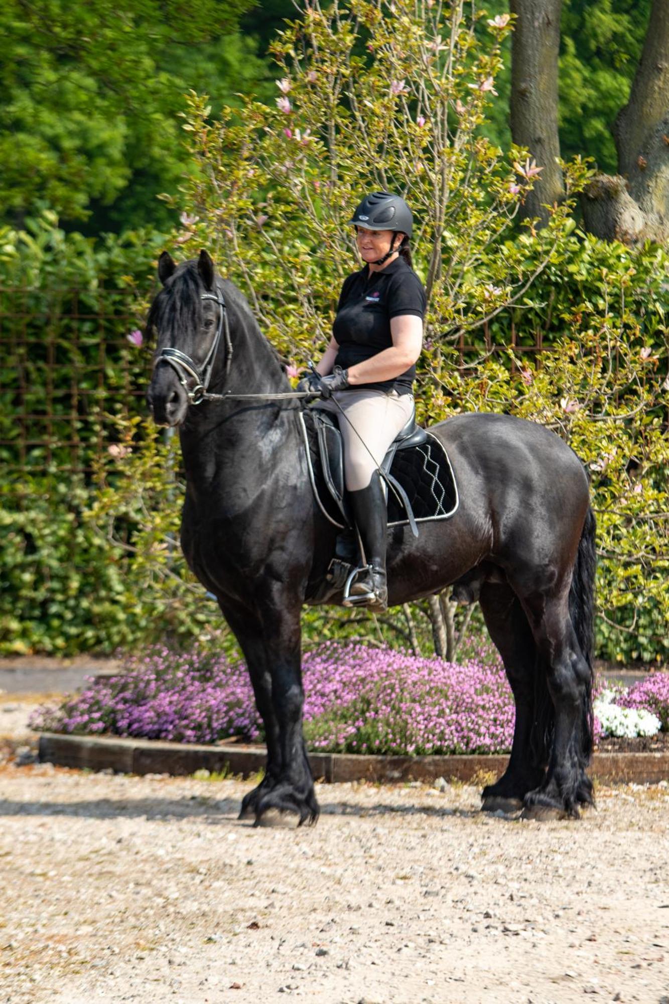 Magnolia Hoeve - Unieke Bestemming Voor Paardenliefhebbers En Bijzondere Overnachtingen In De Natuur Ledeacker Exterior photo
