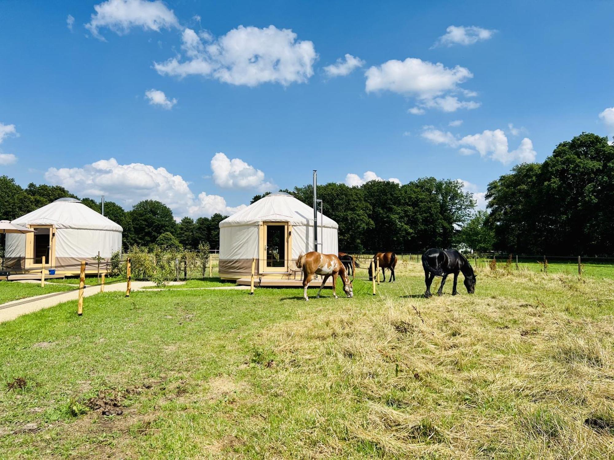 Magnolia Hoeve - Unieke Bestemming Voor Paardenliefhebbers En Bijzondere Overnachtingen In De Natuur Ledeacker Exterior photo