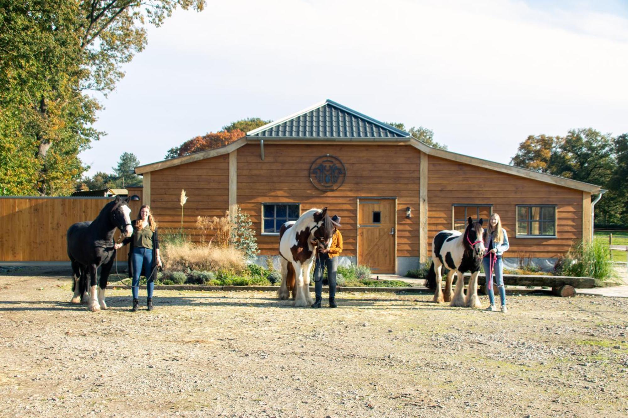Magnolia Hoeve - Unieke Bestemming Voor Paardenliefhebbers En Bijzondere Overnachtingen In De Natuur Ledeacker Exterior photo