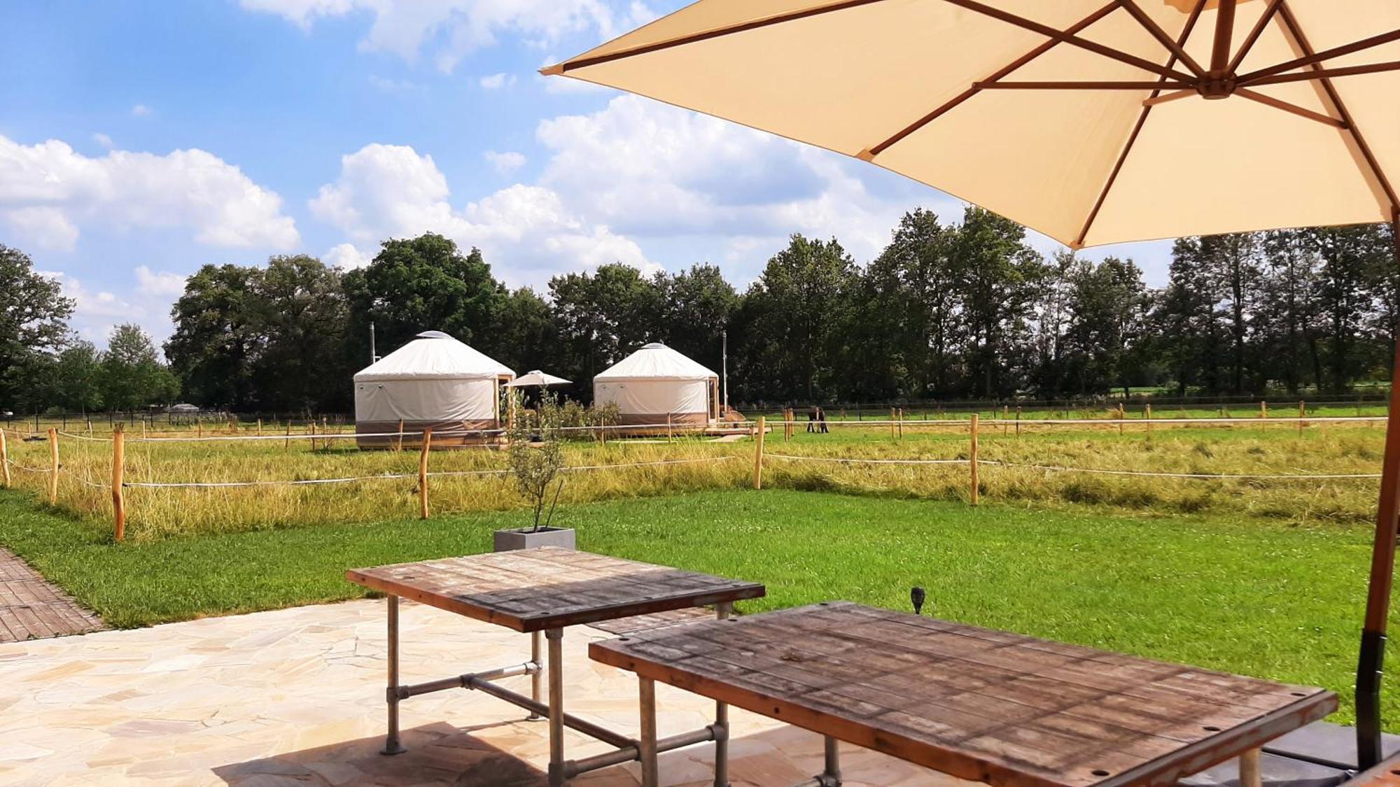 Magnolia Hoeve - Unieke Bestemming Voor Paardenliefhebbers En Bijzondere Overnachtingen In De Natuur Ledeacker Exterior photo