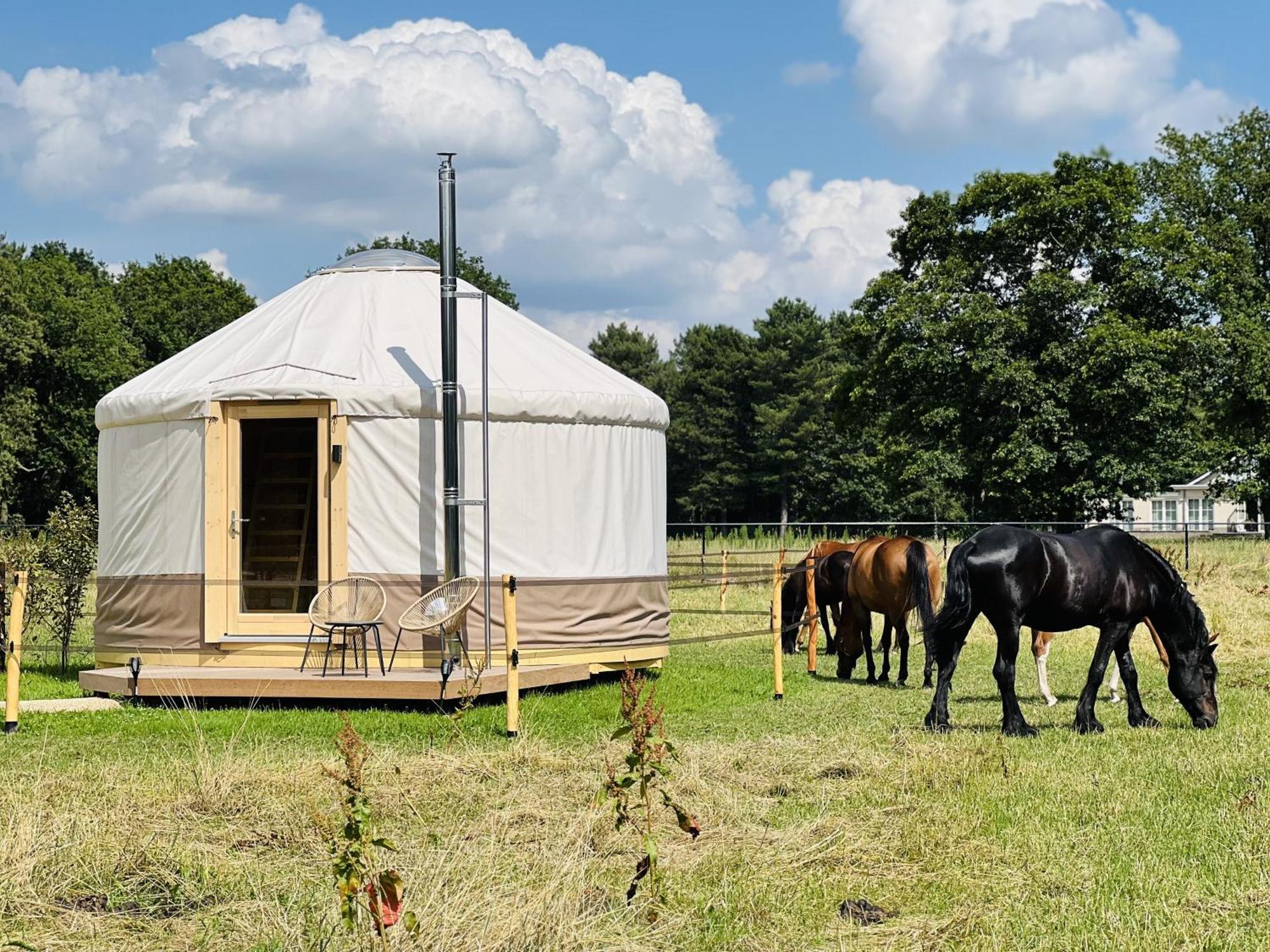 Magnolia Hoeve - Unieke Bestemming Voor Paardenliefhebbers En Bijzondere Overnachtingen In De Natuur Ledeacker Exterior photo