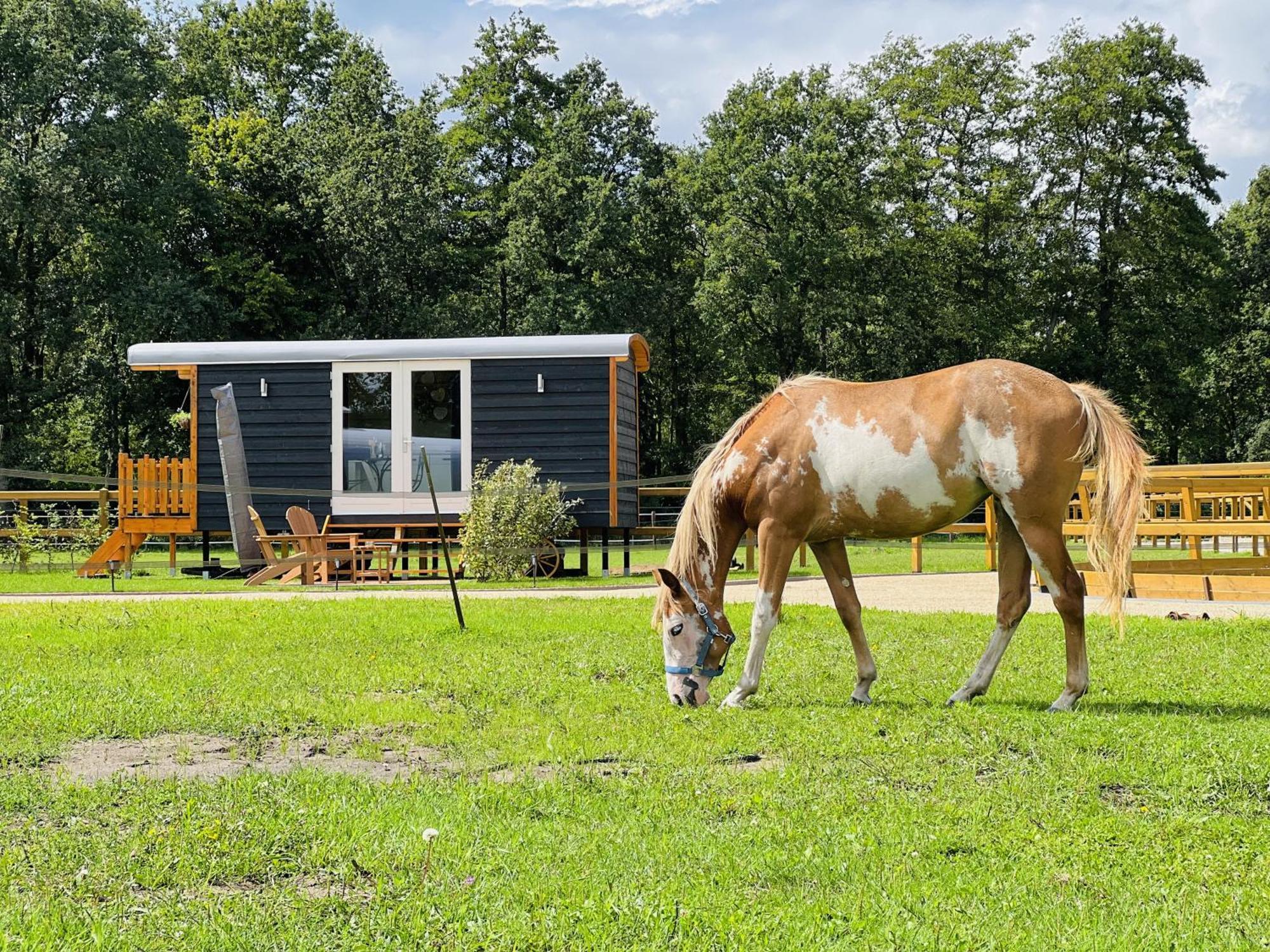 Magnolia Hoeve - Unieke Bestemming Voor Paardenliefhebbers En Bijzondere Overnachtingen In De Natuur Ledeacker Exterior photo