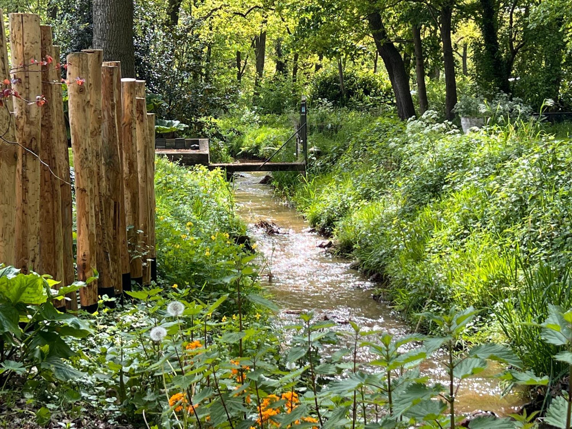 Magnolia Hoeve - Unieke Bestemming Voor Paardenliefhebbers En Bijzondere Overnachtingen In De Natuur Ledeacker Exterior photo